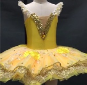 Decorated Performance Tutu